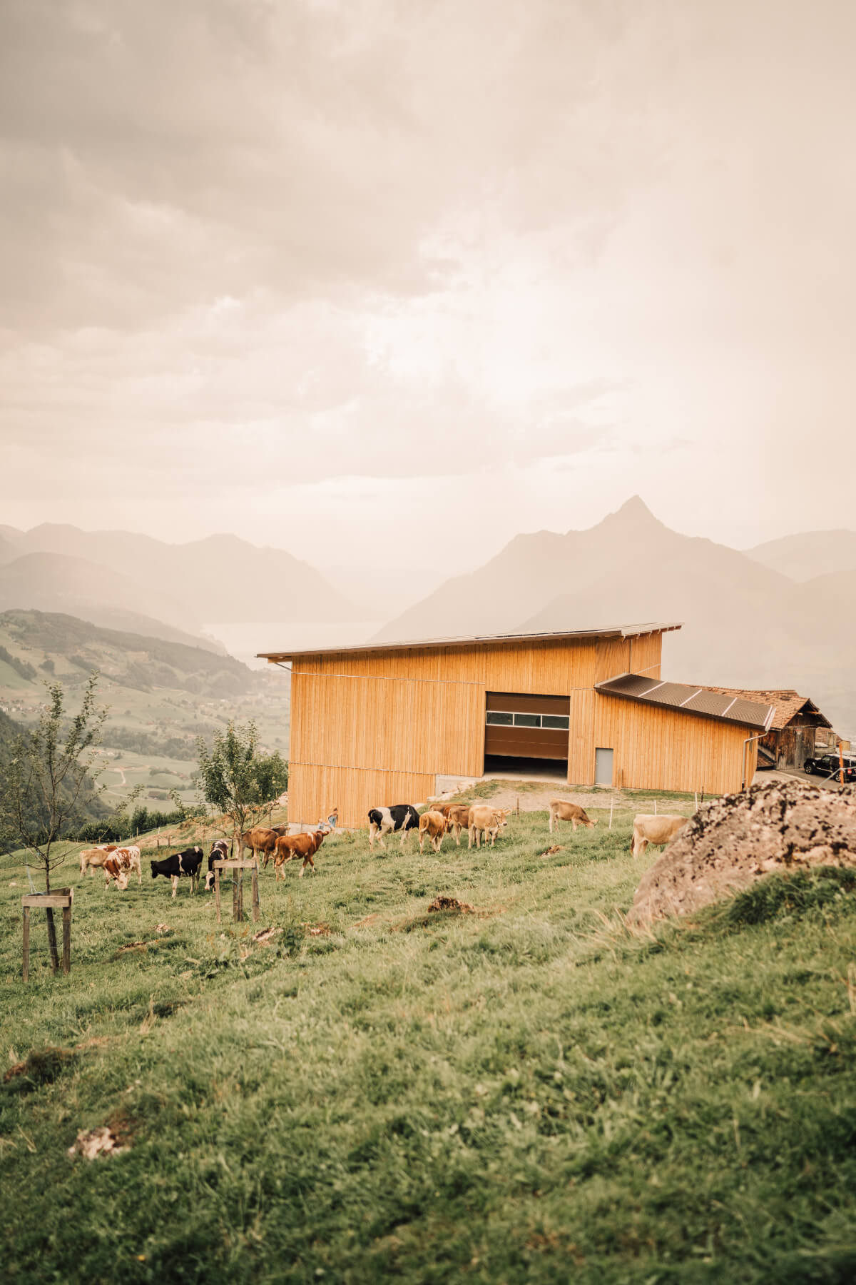 Eventraum Tändlis Hof Schwyz – moderner Raum bis 50 Personen